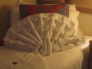 Cruise-Ship-Towel-Animal-Peacock