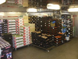 Cold-Storage-Cruise-Ship