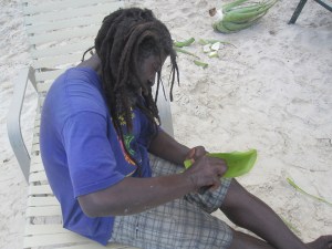 Aloe-Vera-Man-Antigua