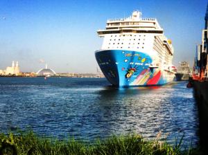 Image courtesy of Scott Rogers