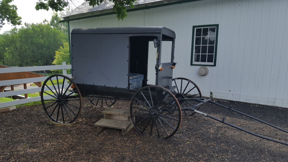 Amish-Buggy