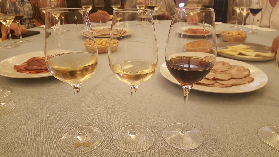 jerez-sherry-tasting-saga-cruises
