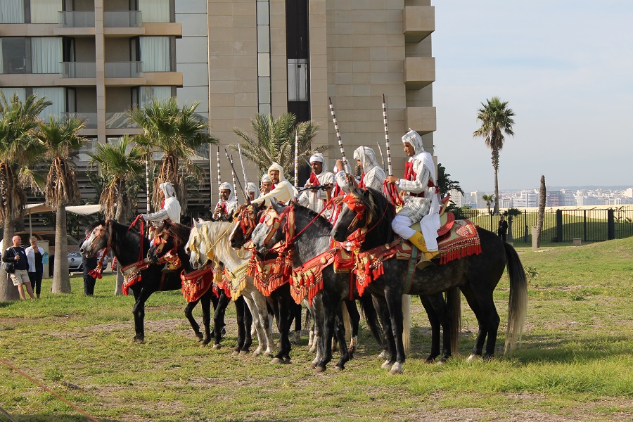 tangier-morocco-horses-saga-cruises
